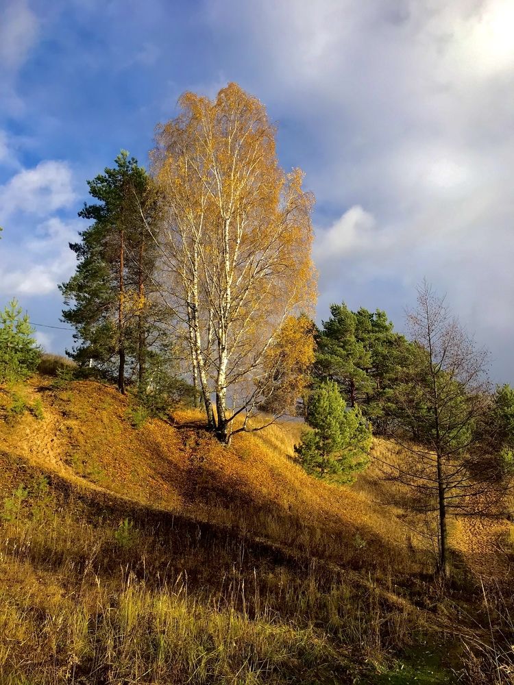 Photograph by Михаил Некрасов