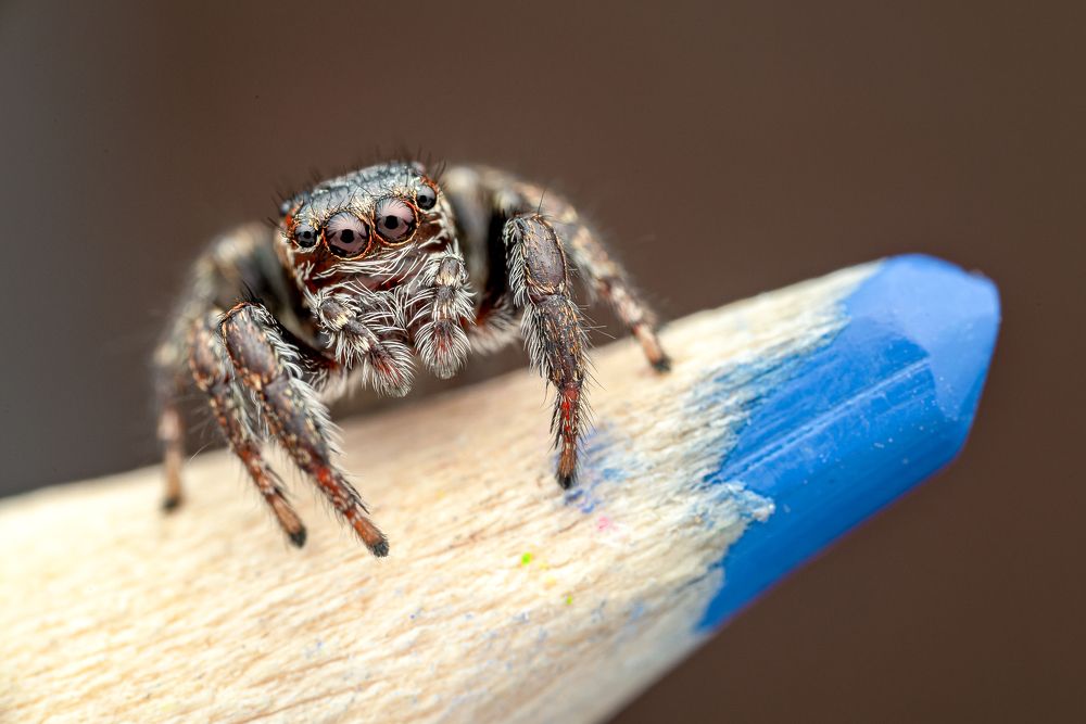 Photograph by Роман Фадеев