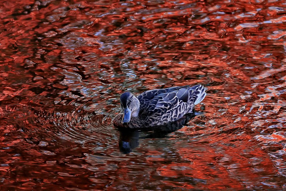 Photograph by Аркадий Ишимов