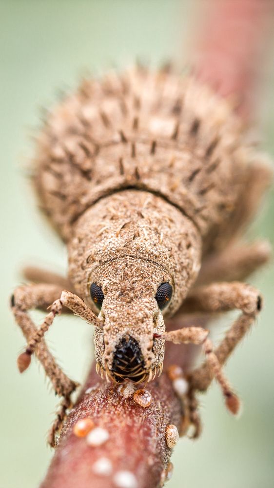 Photograph by Роман Фадеев