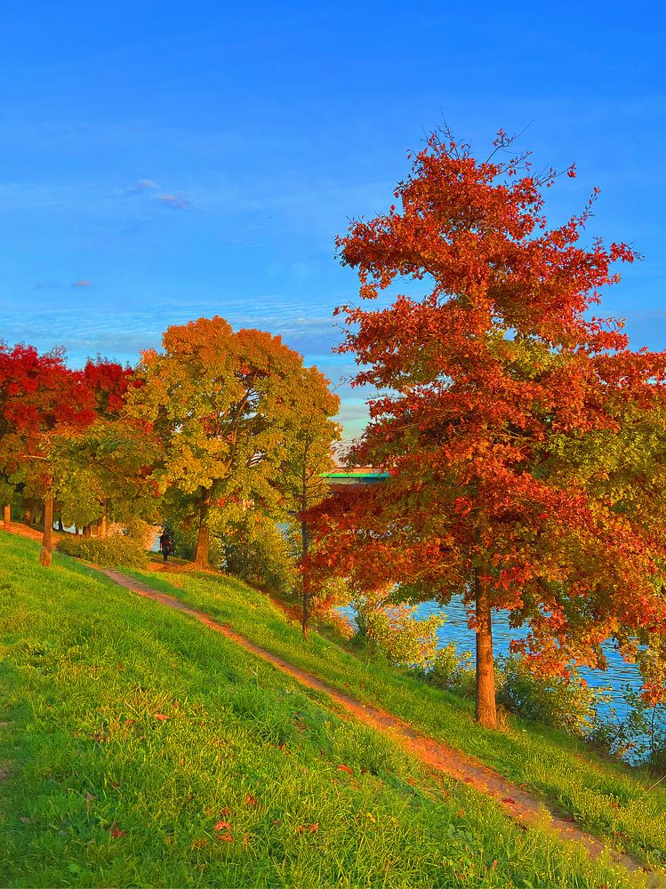 Photograph by Анастасия Куэлляр