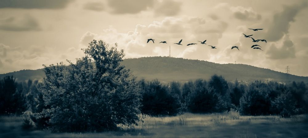 Photograph by Pati John