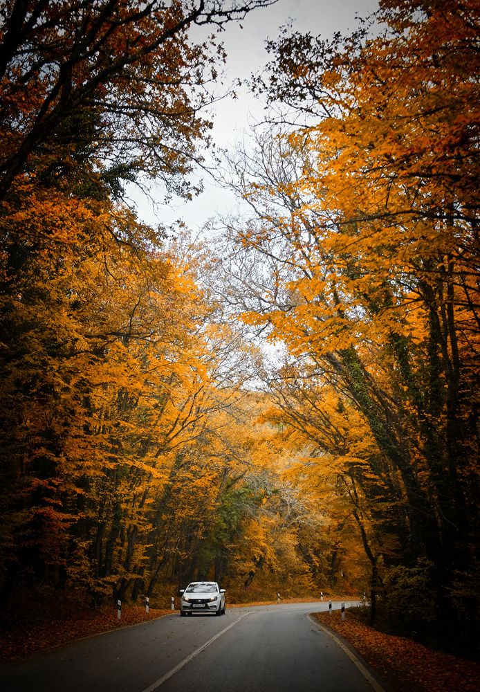 Photograph by Екатерина Гордеева