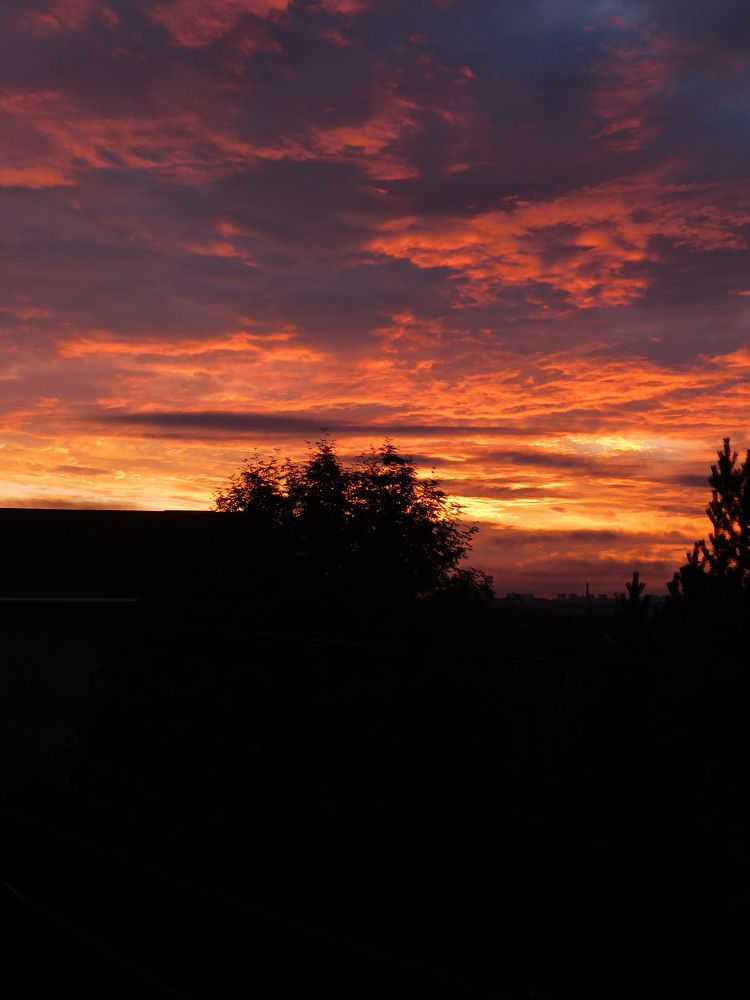 Photograph by Алена