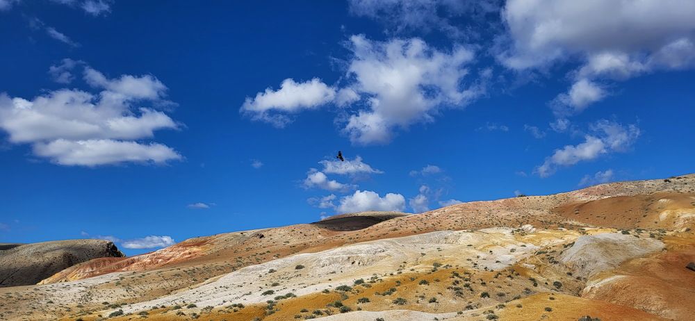 Photograph by Ирина Сушко