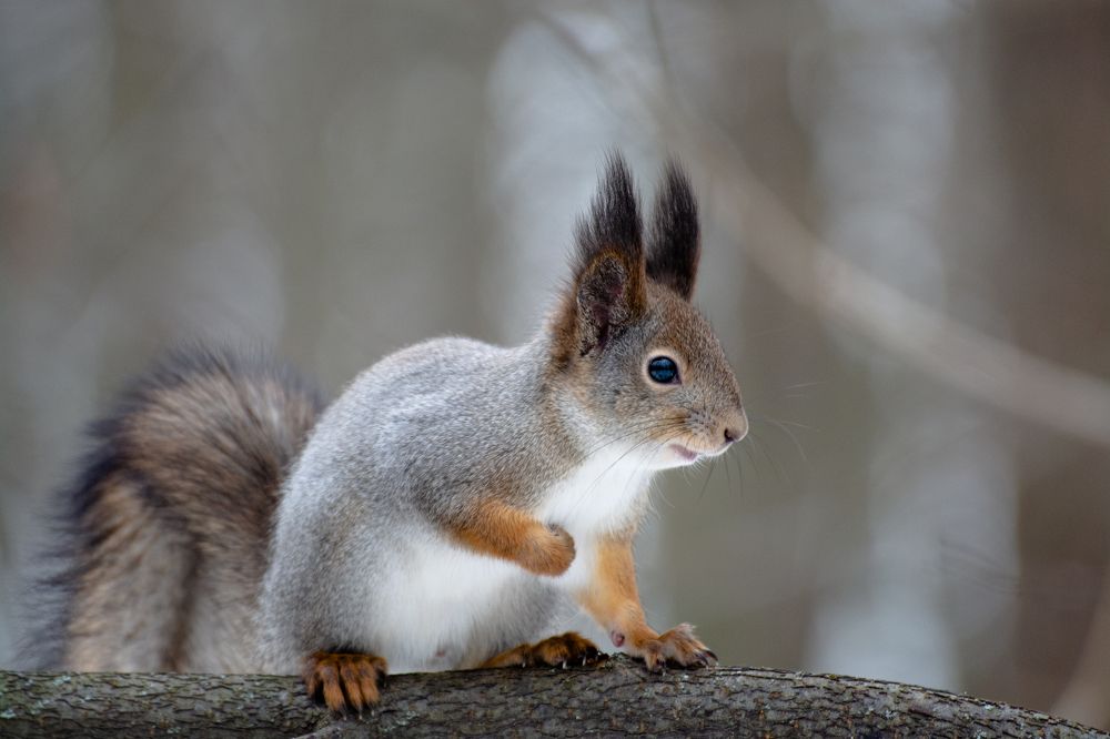 Photograph by Андрей Смирнов