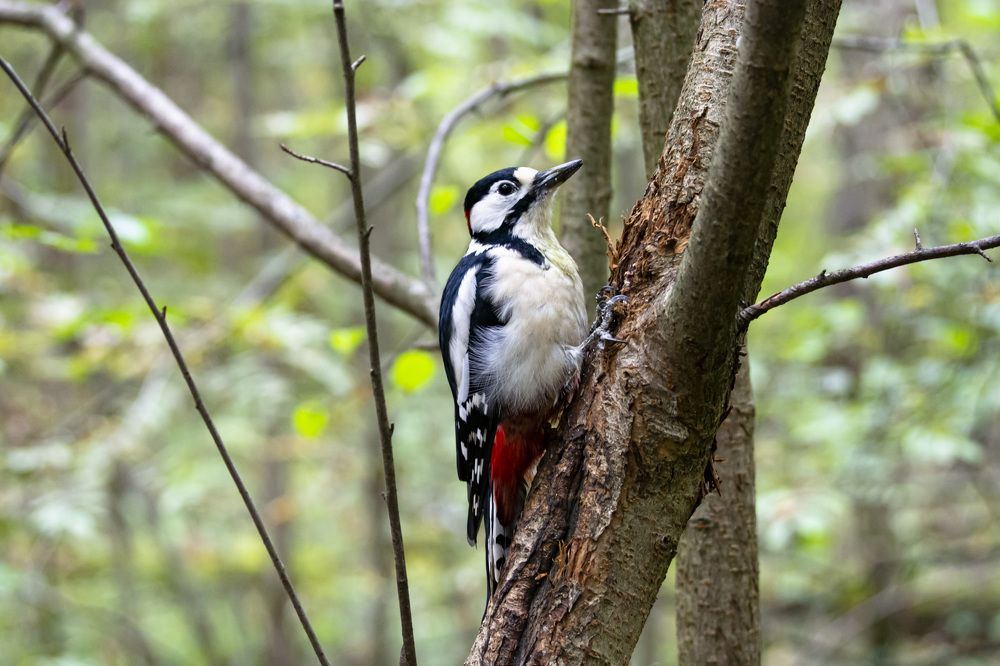 Photograph by Андрей Смирнов