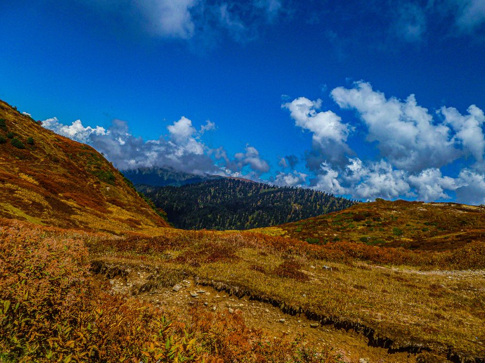 Photograph by Susobhan Biswas