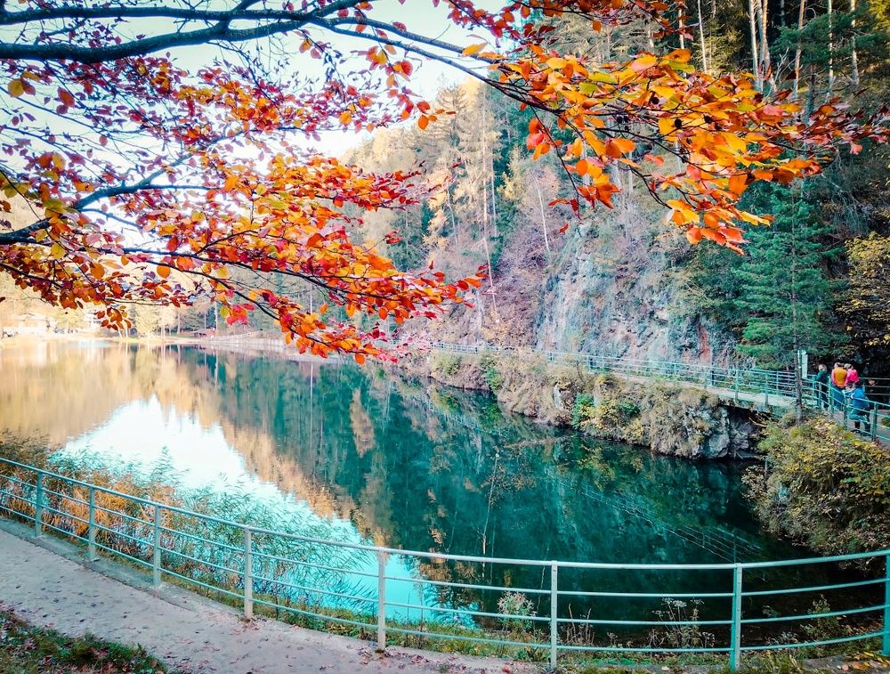 "Осенняя палитра"