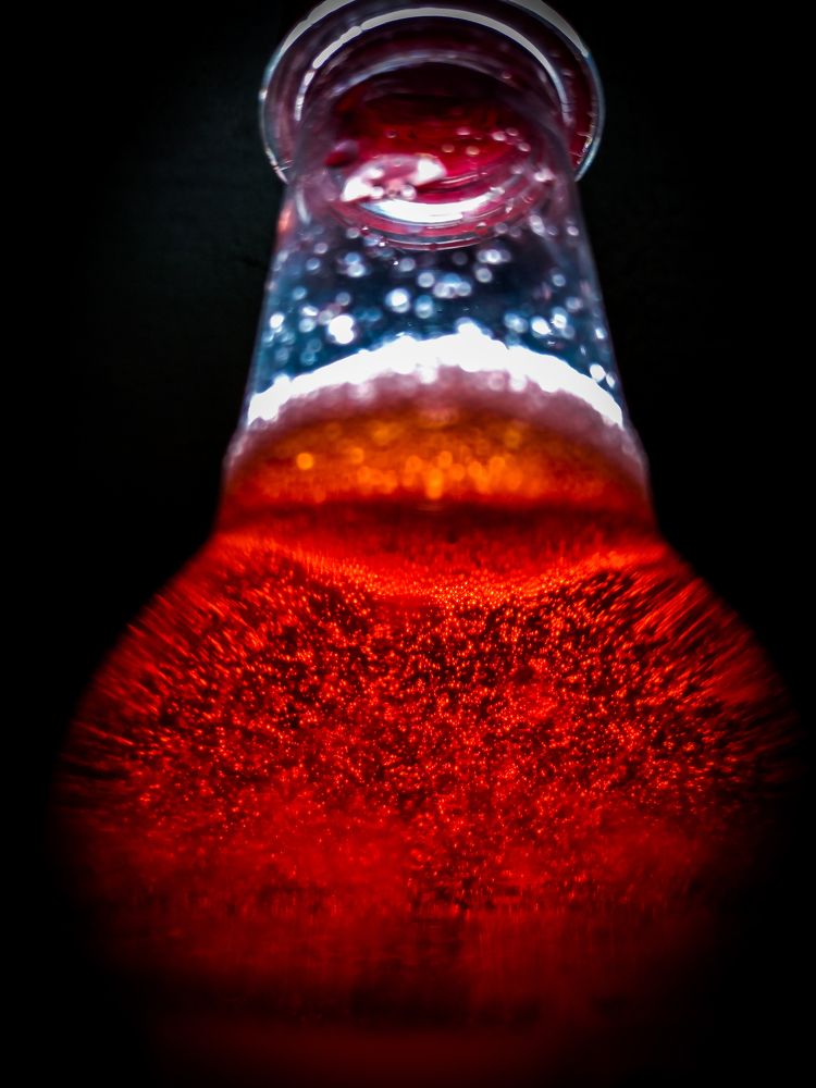 Photograph by ANKIT Sagar