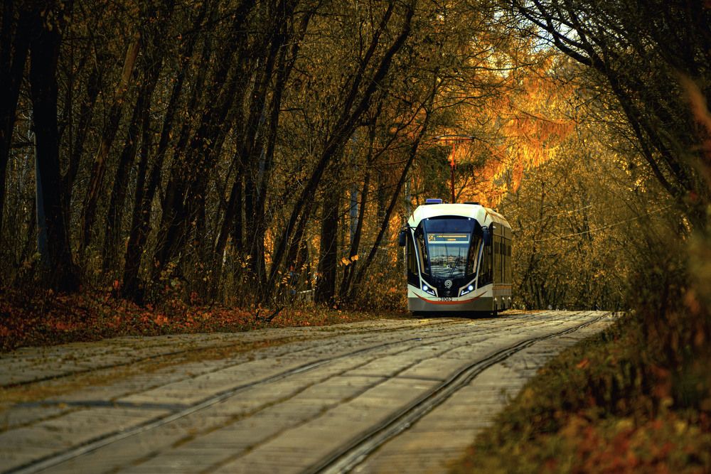Фотография автора Сморчков Сергей