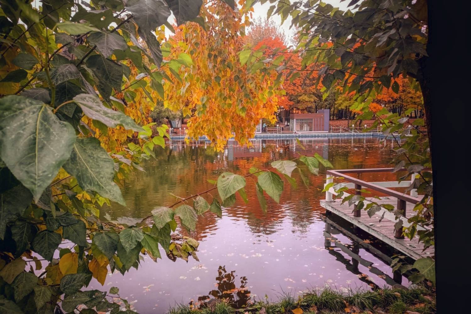 Краски осени