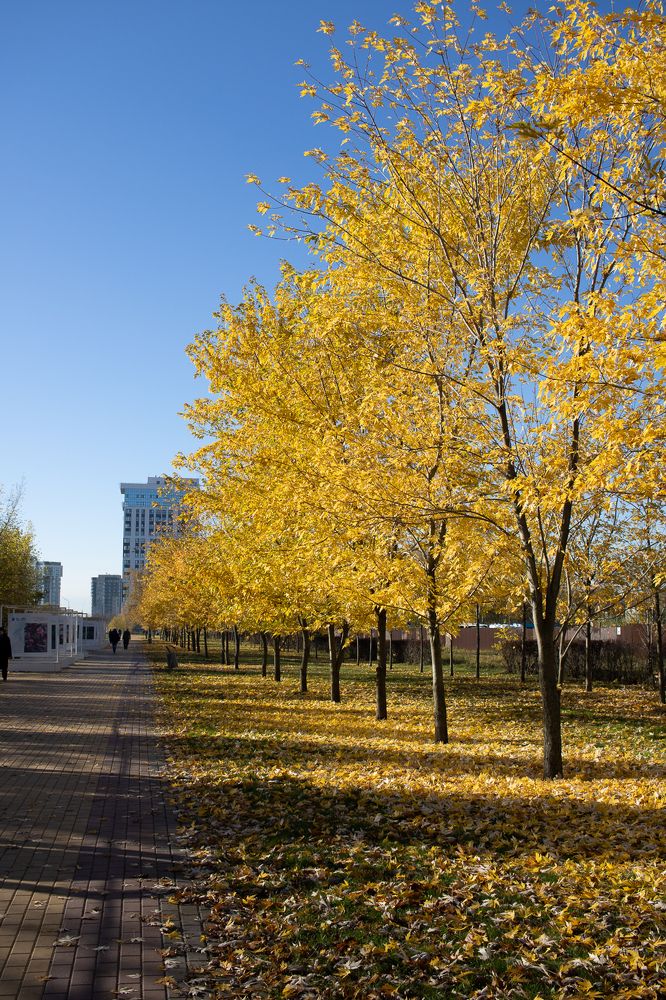 Photograph by Маргарита Сенченко