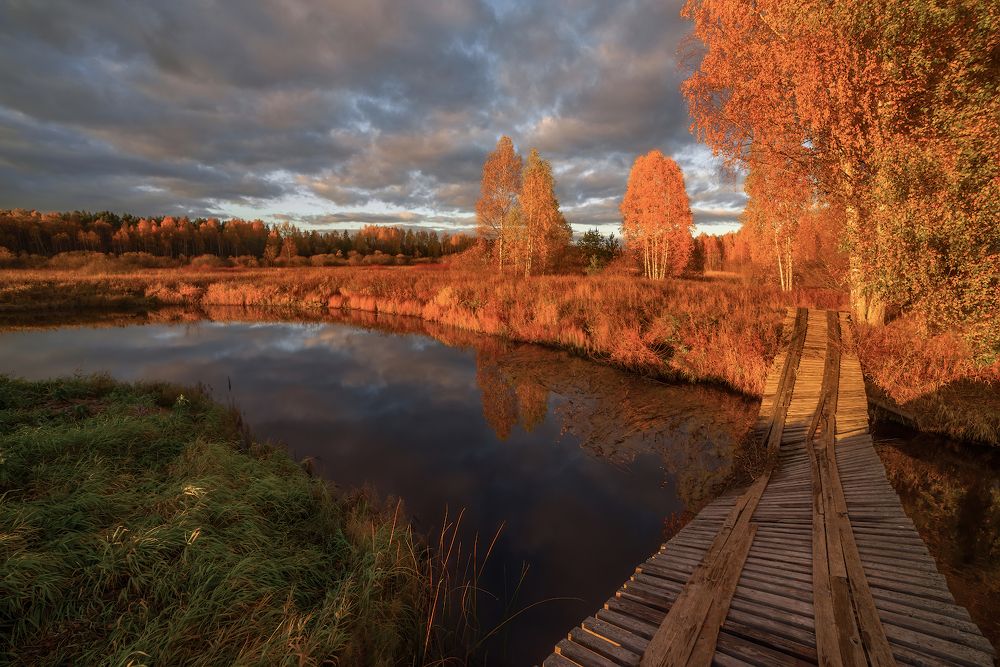 Photograph by Марина Мурашова