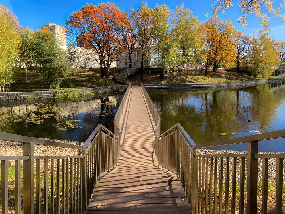 Photograph by Лариса Рулёва