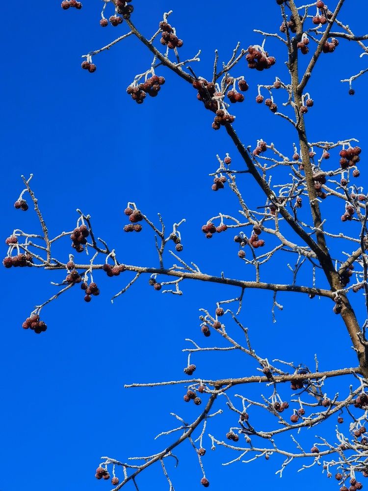 Photograph by Олика