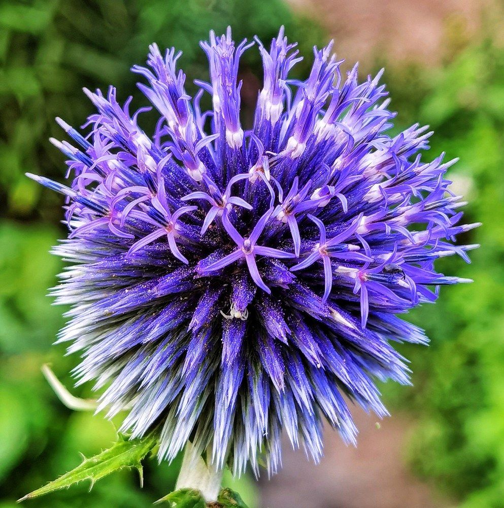 Photograph by Олика