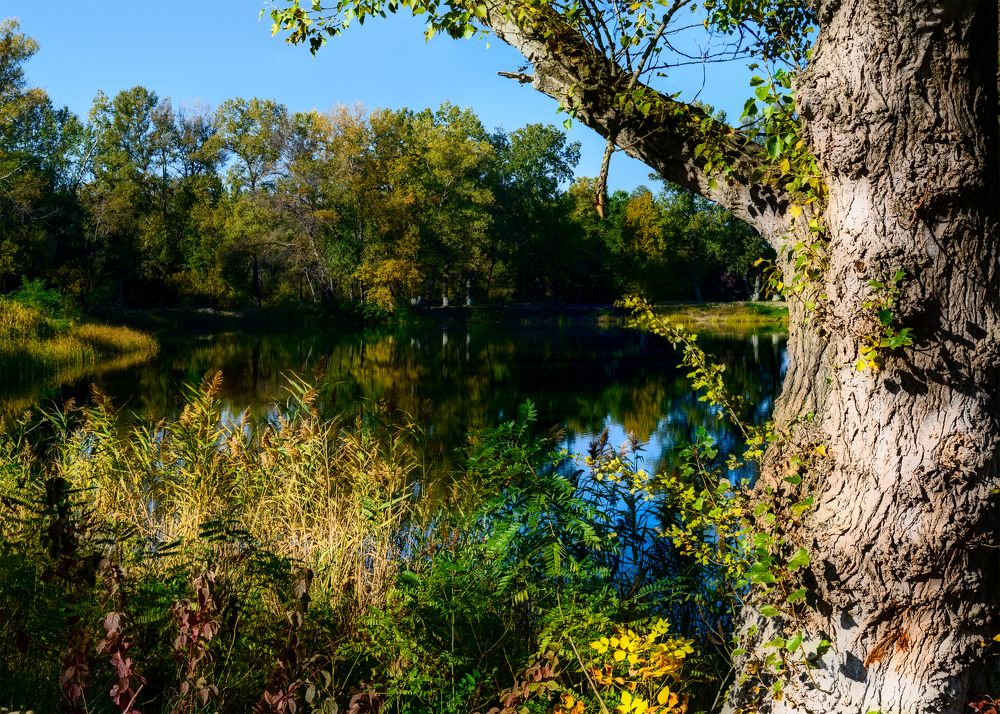 Photograph by Владимир Кваша
