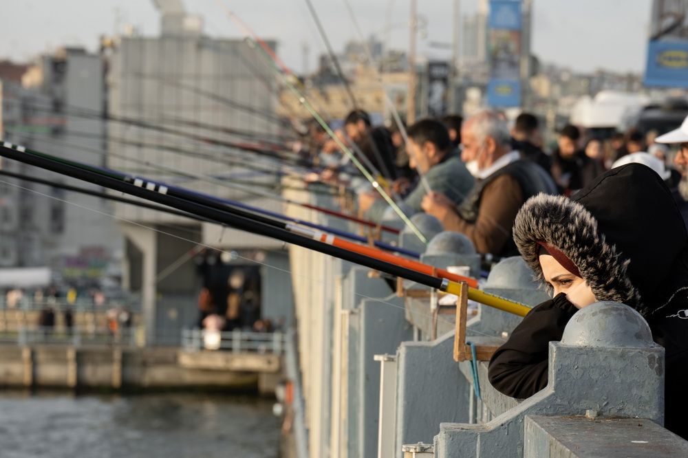 Photograph by Михаил Азаров