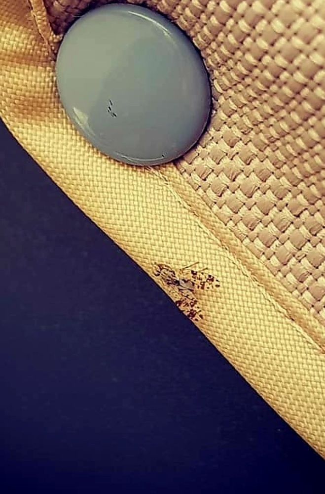 Photograph by Каковкина Ольга