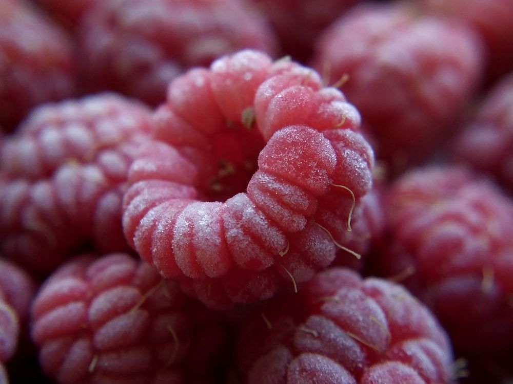 Фотография автора Наталья Алексеева