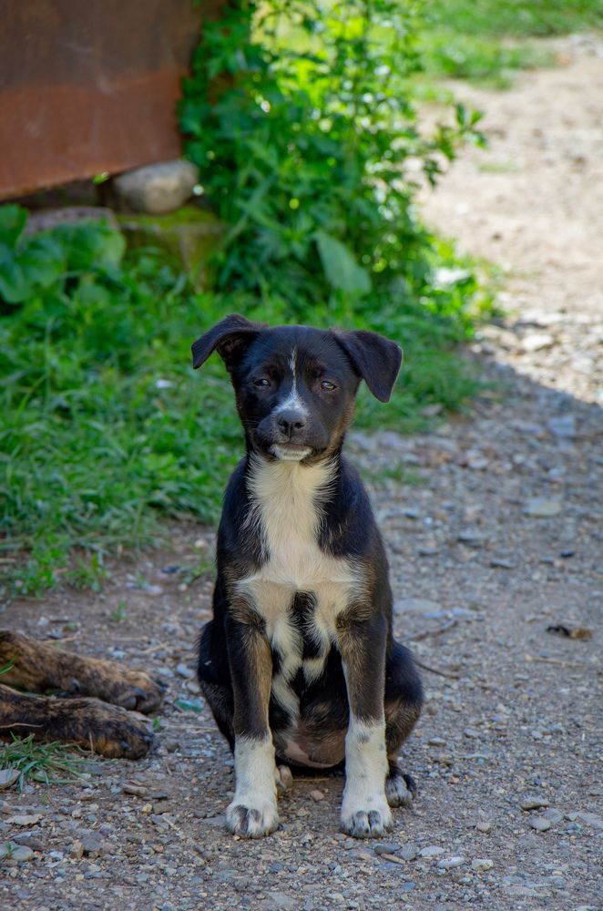 Фотография автора Hovhannes Nersisyan