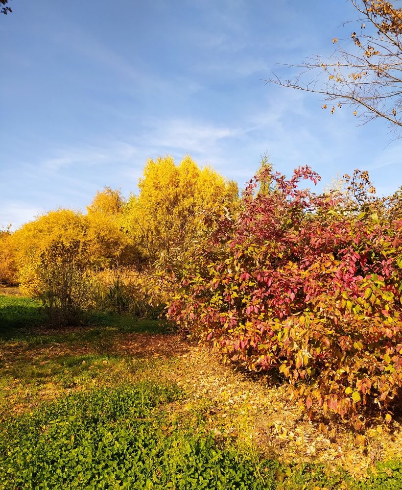 Фотография автора Елена Александрова