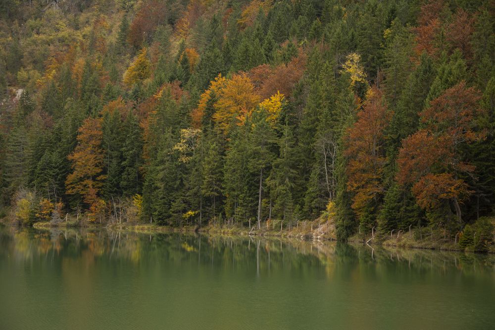 Photograph by Predrag Kostin