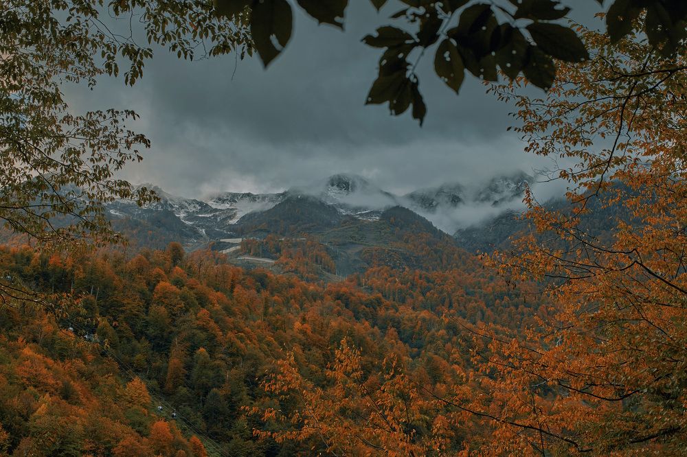 Photograph by Владимир Васенев