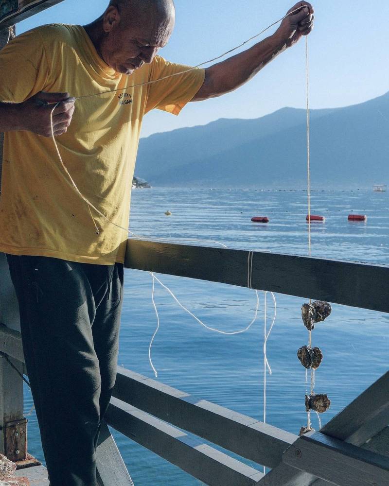 Photograph by Юлия Смирнова