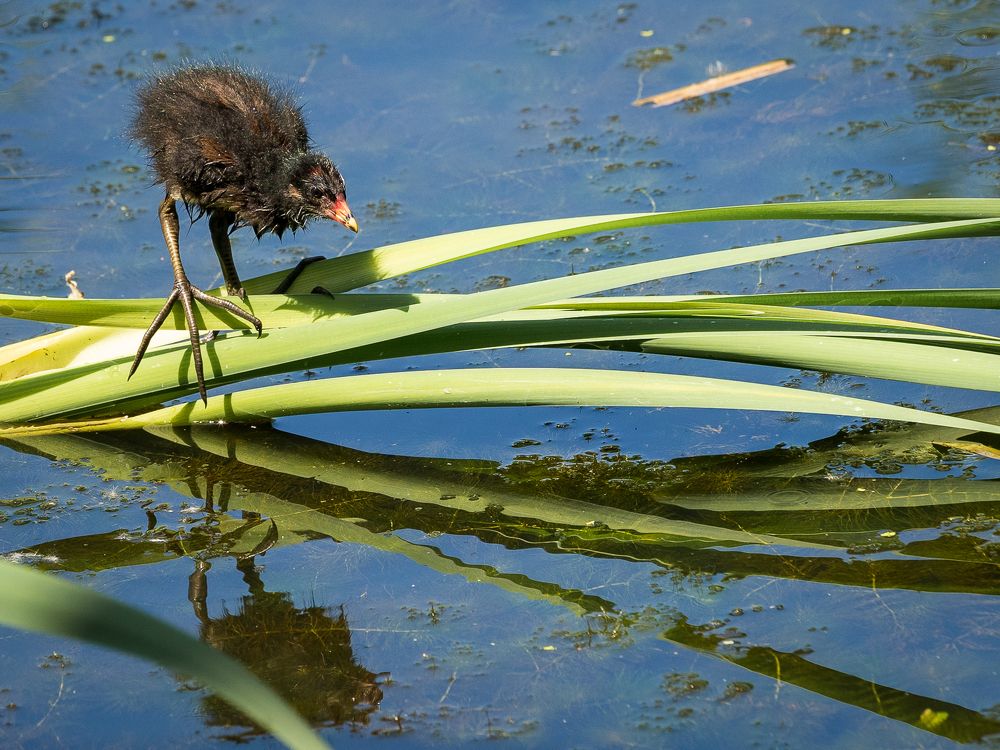 Photograph by Сурков Владимир