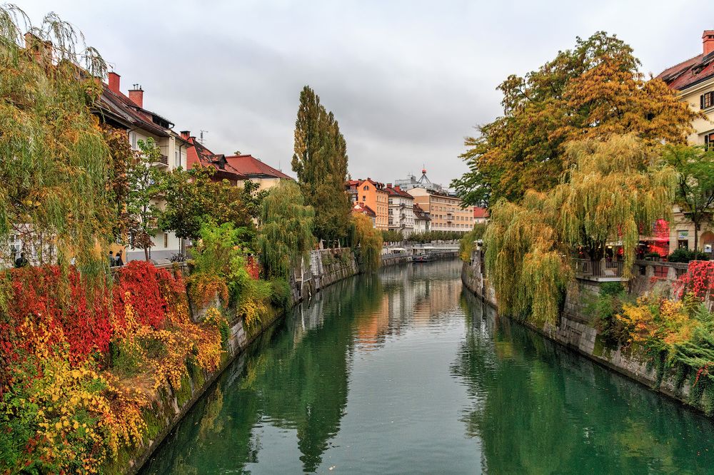 Разноцветная осень