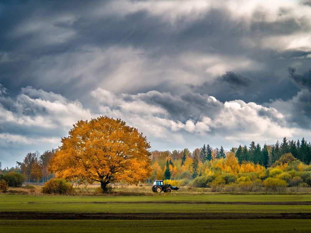 Фотография автора Вадим Демченко