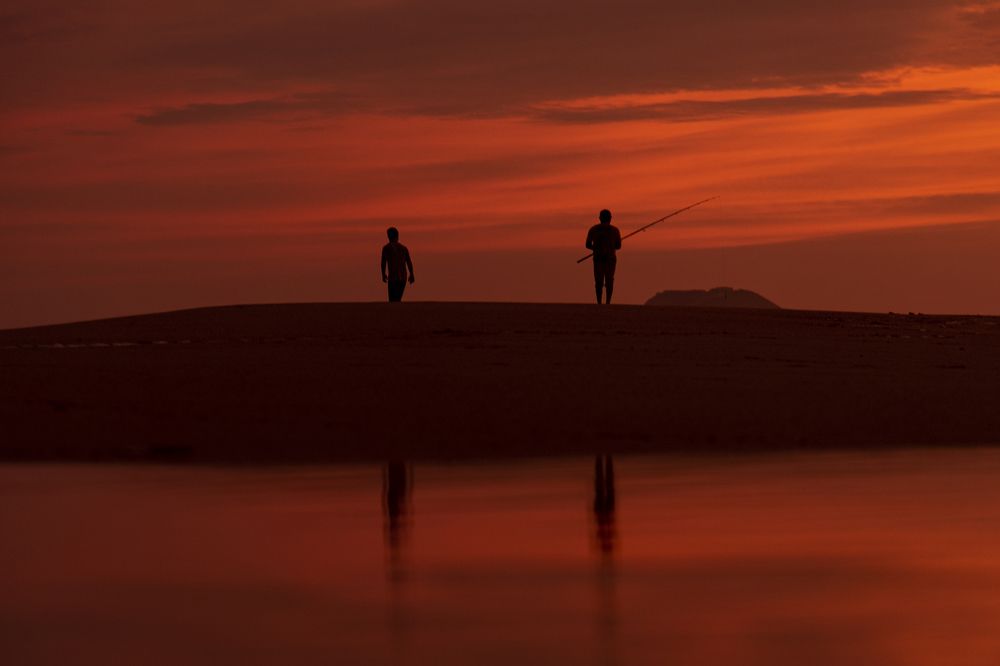 Photograph by Noe Castro