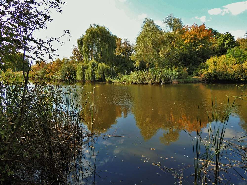 Photograph by Олександр Розум