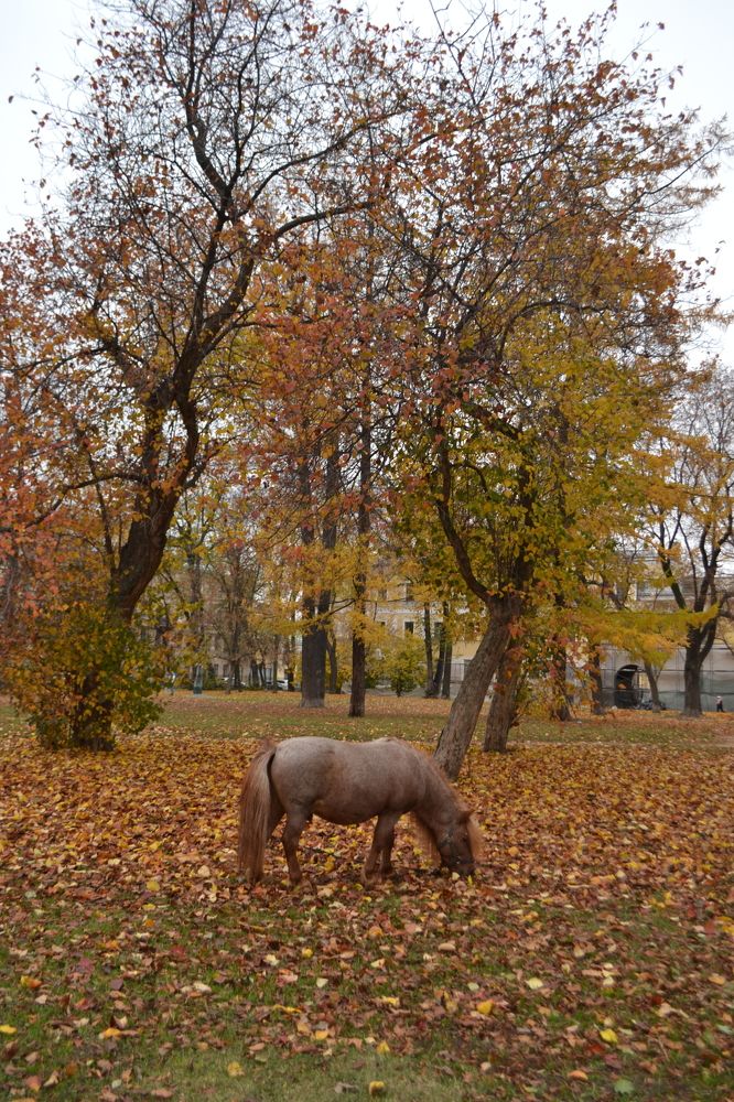 Photograph by Мария Петрова