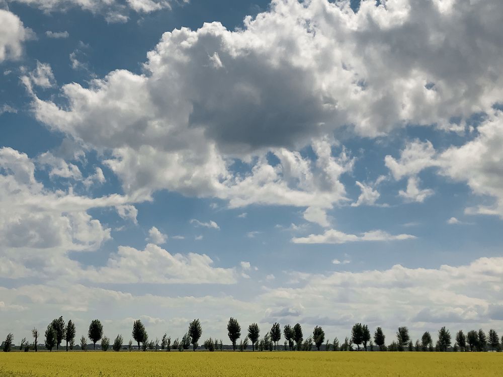 Photograph by Юлия Ерофеева