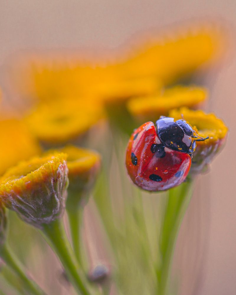 Photograph by Михаил