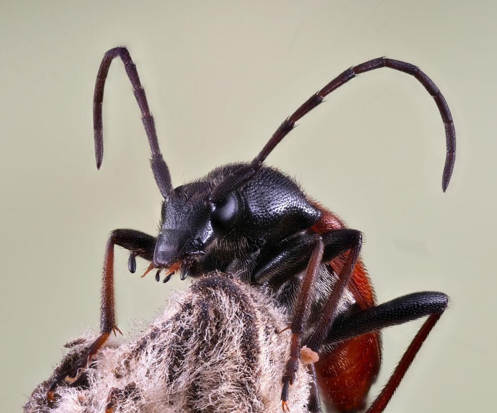 Photograph by Юрий Юрьевич