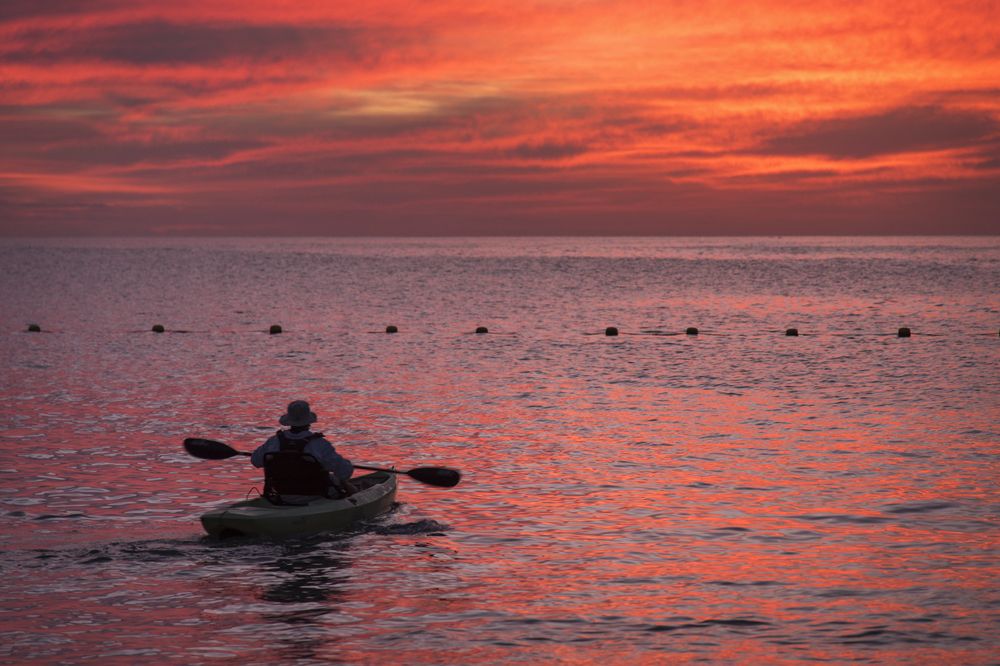 Photograph by Noe Castro