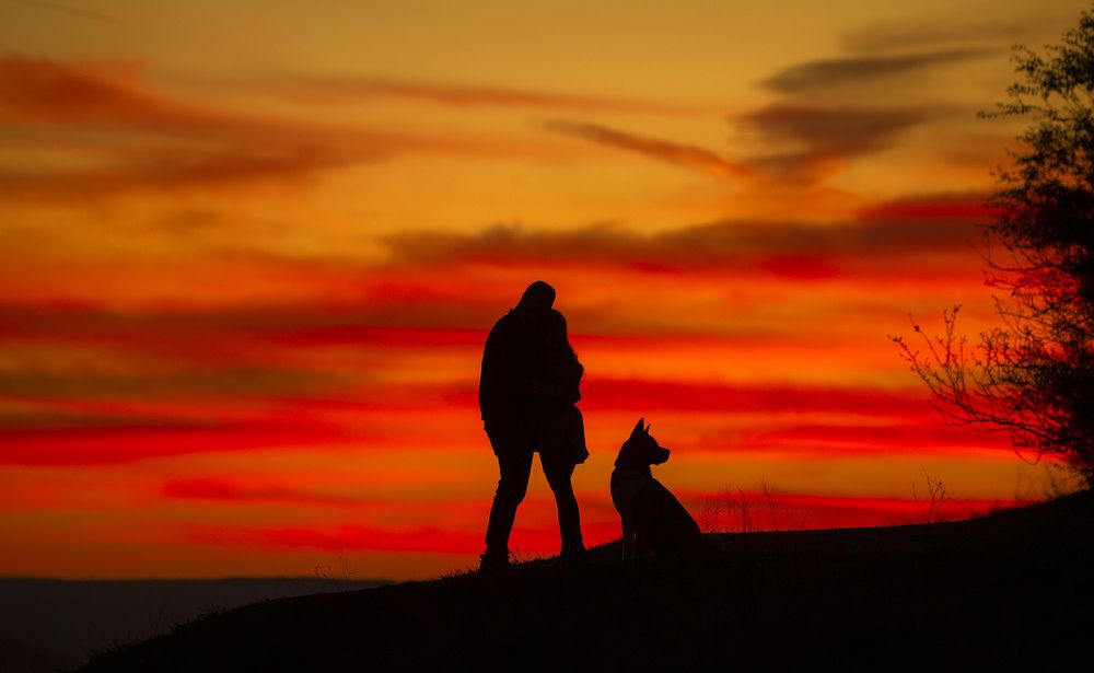 Фотография автора Анатолий Макоедов