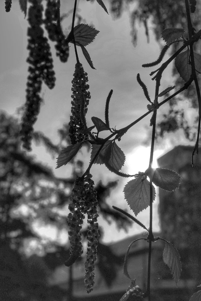 Photograph by Владимир Сушкин