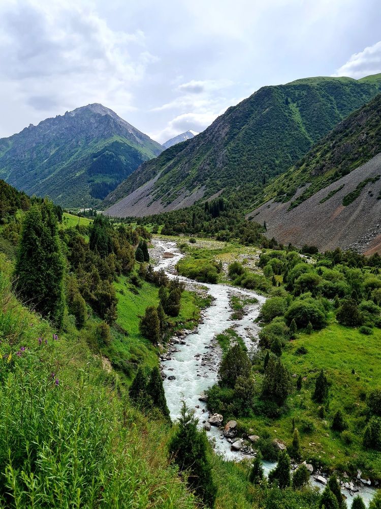 Зеленая долина