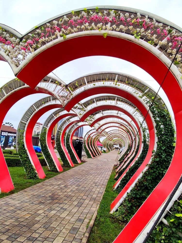 Photograph by Надежда