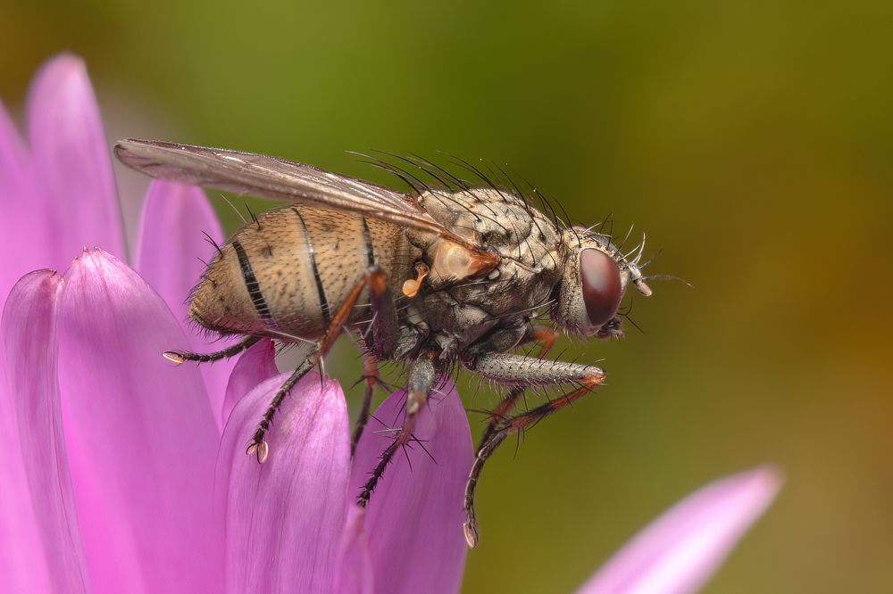 Photograph by Viktor Makarov