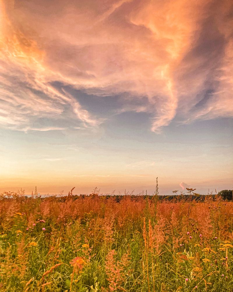 Photograph by Алла Творогова