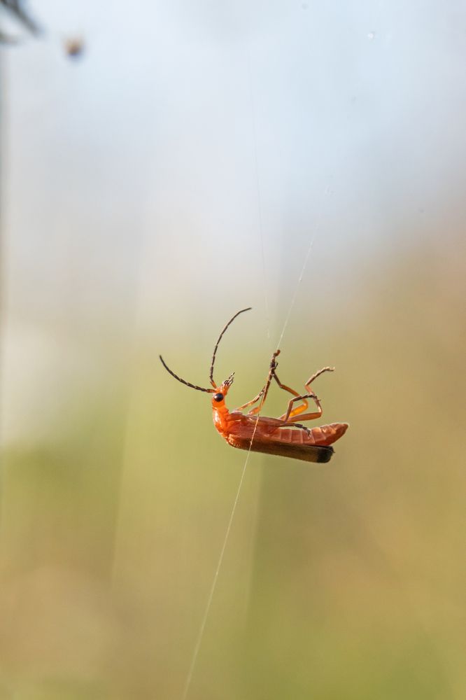 Photograph by Александр Козин