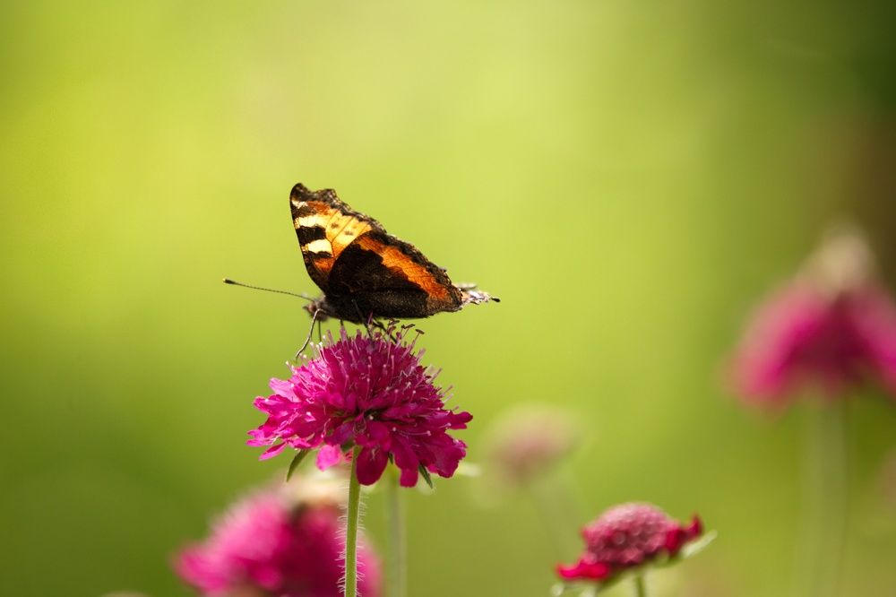 Photograph by Marc Schöner