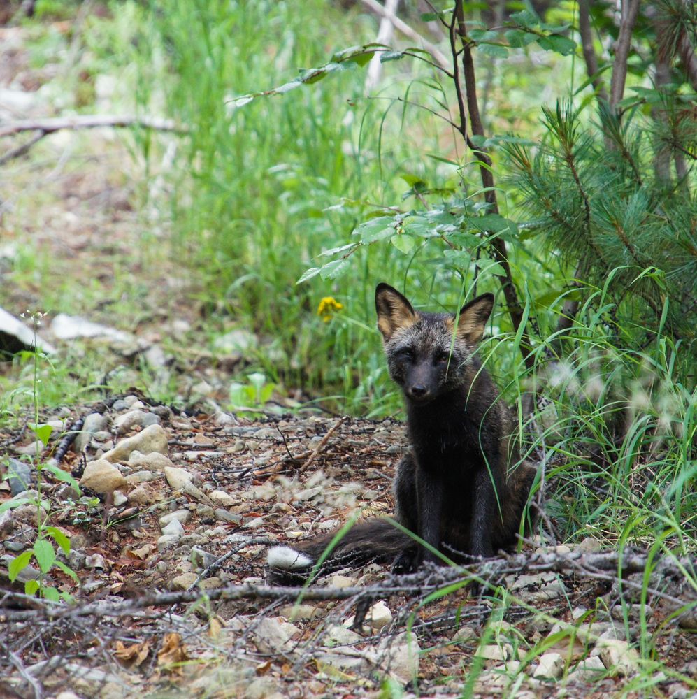 Photograph by Вероника Раевская