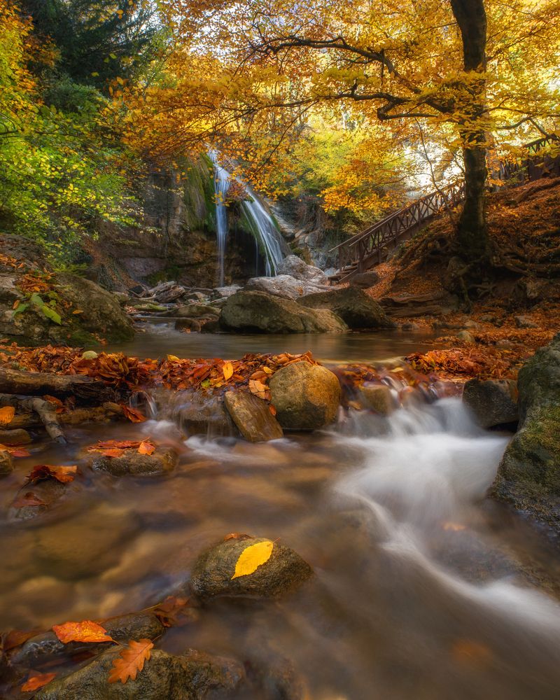 Photograph by Дмитренко Екатерина